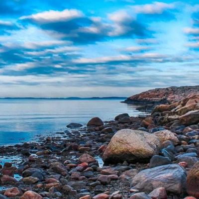 江南体育app下载下载手机版