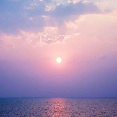 1788网投下载手机版