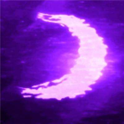 竞彩足球app官方下载手机版