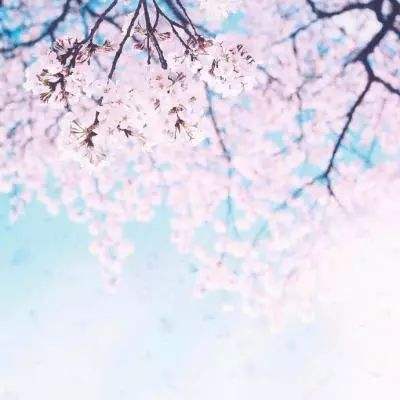 二人麻将手机app下载