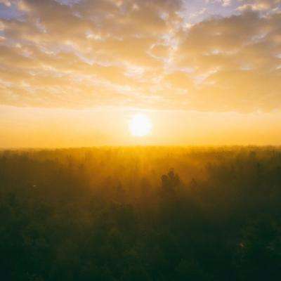 国内最大竞彩跟单APP