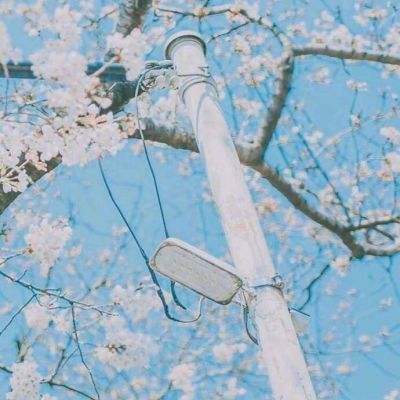 香港2023正版免费资料下载手机版