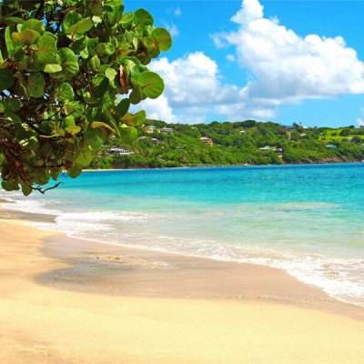 星空下载手机app下载