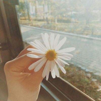 best365官网手机版手机app下载