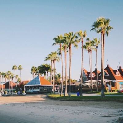 波胆app官网app下载