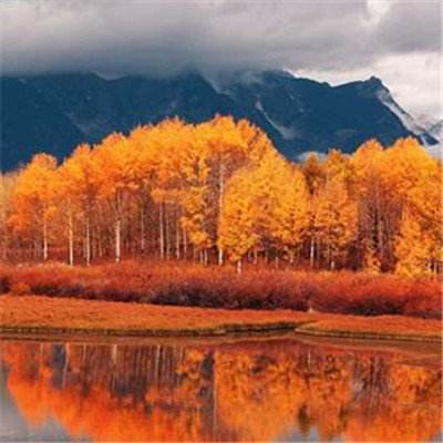 亚博AG娱乐下载手机版