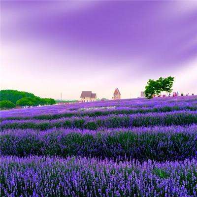 半岛5.0下载官网