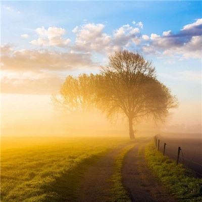 BSport·APP在线登录下载手机版