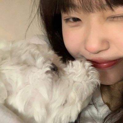 乐鱼app官网正式版下载手机app下载